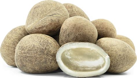 Dry coconut. Things To Know About Dry coconut. 